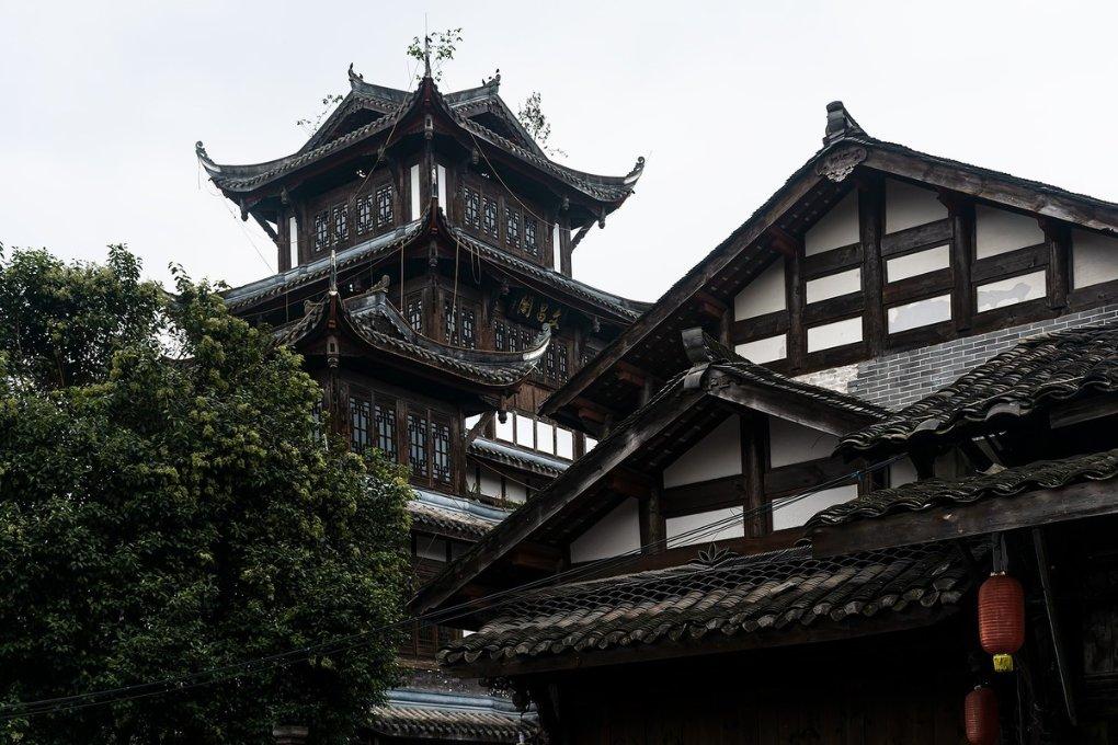 “绿叶子”变成“金叶子”