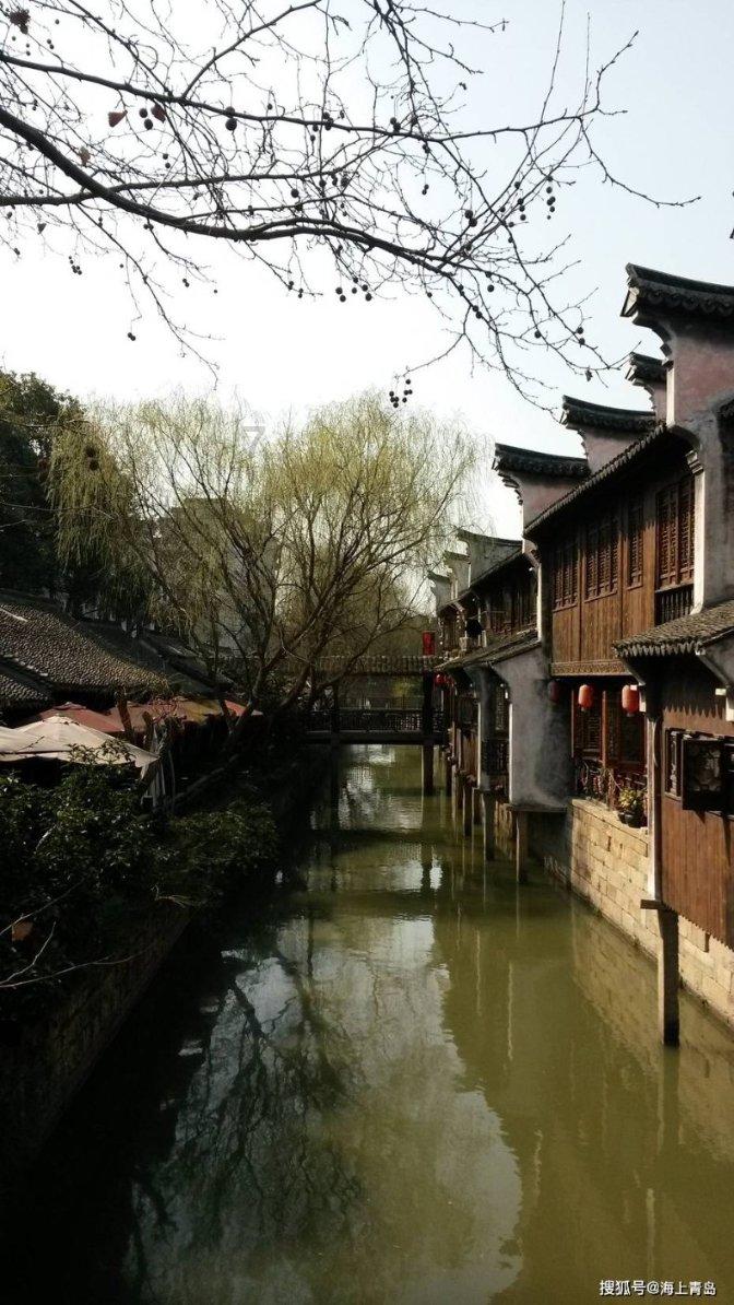 津彩南望 乐享文旅 津南区葛沽清水萝卜节启动